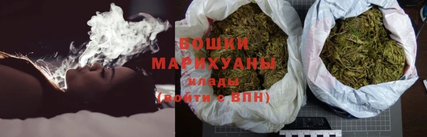 apvp Дмитриев