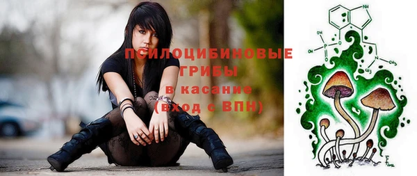 apvp Дмитриев