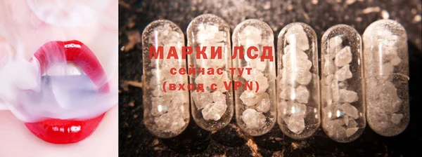 apvp Дмитриев